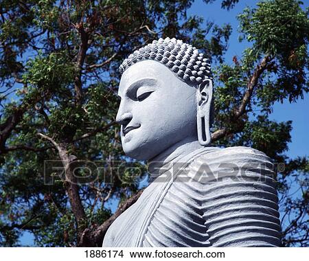 Buddha Statue And Tree Branches, Close Up View Large Photo Image Picture - Buddha Statue And Tree Branches, Close Up. Fotosearch