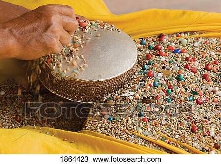 Buddhist Monk Dropping Colorful Seeds And Beads On A Small Drum; Kathmandu, Nepal View Large Photo Image Stock Image - Buddhist Monk Dropping Colorful Seeds And Beads On A Small Drum; Kathmandu, Nepal. Fotosearch