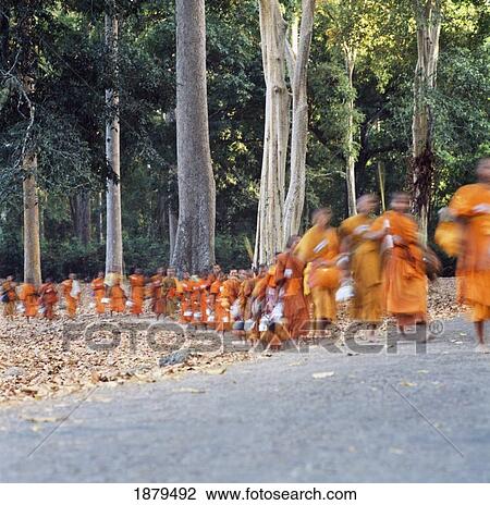 Buddhist Monks Walking In Line Through Forest View Large Photo Image Stock Image - Buddhist Monks Walking In Line Through Forest. Fotosearch