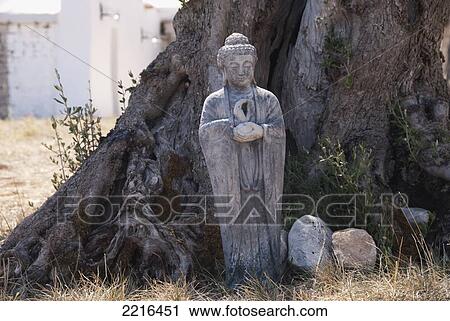 Buddhist Statue In Front Of Tree In Puglia, Italy View Large Photo Image Stock Image - Buddhist Statue In Front Of Tree In Puglia, Italy. Fotosearch