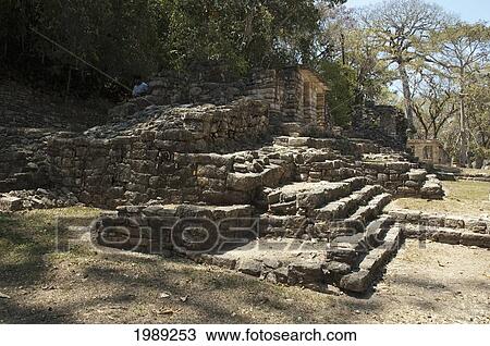Building 13, Yaxchilan, Chiapas, Mexico View Large Photo Image Stock Image - Building 13, Yaxchilan, Chiapas, Mexico. Fotosearch