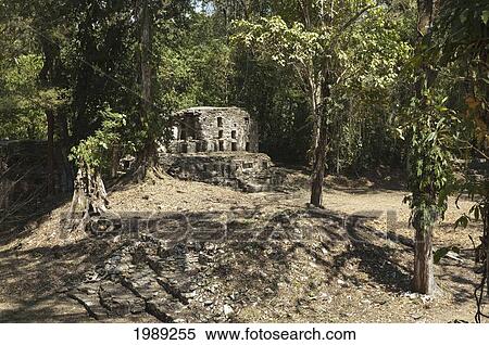 Building 6, Yaxchilan, Chiapas, Mexico View Large Photo Image Stock Photography - Building 6, Yaxchilan, Chiapas, Mexico. Fotosearch