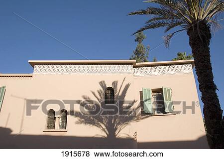 Building And Palm Tree In Medina View Large Photo Image Stock Photo - Building And Palm Tree In Medina. Fotosearch