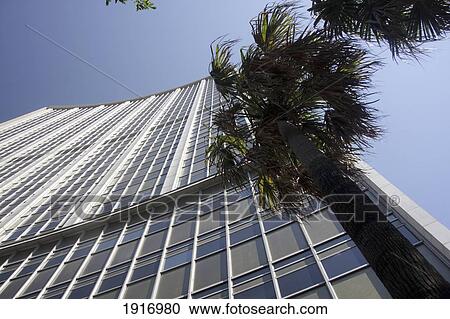Stock Image - Building Exterior And Palm Tree. Fotosearch