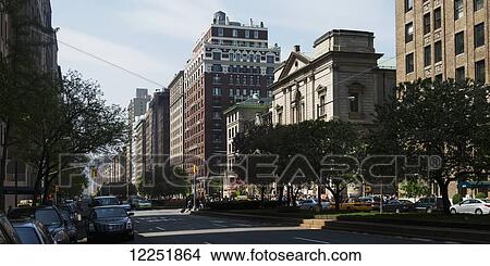 Picture - Buildings along a tree lined street; New York City, New York, United States of America. Fotosearch