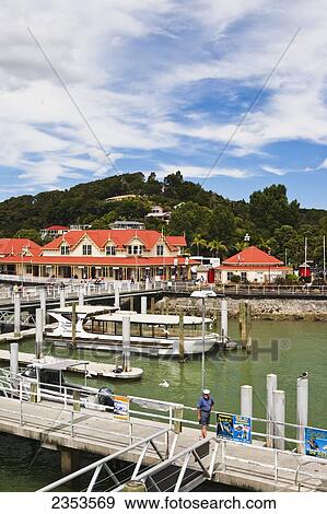 Buildings And Boats At The Waterfront In The Port Of Paihia, Bay Of Islands; New Zealand View Large Photo Image Stock Photo - Buildings And Boats At The Waterfront In The Port Of Paihia, Bay Of Islands; New Zealand. Fotosearch