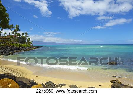 Stock Image - Buildings and palm trees along the coastline of an hawaiian island; Hawaii, United States of America. Fotosearch