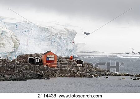 Stock Photo - Buildings Surrounded By Penguins; Antarctica. Fotosearch
