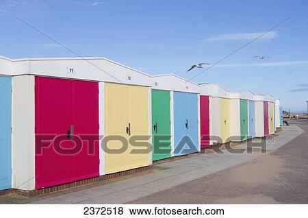 Buildings with colourful doors in a row on the beach; Devon, England View Large Photo Image Stock Photo - Buildings with colourful doors in a row on the beach; Devon, England. Fotosearch
