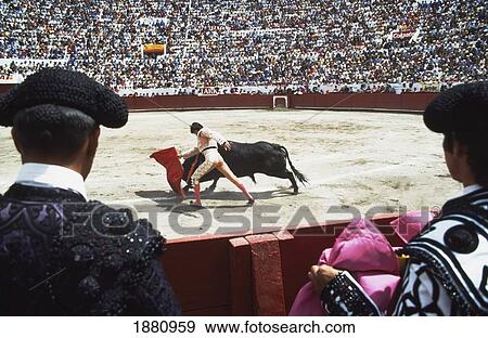Bullfighting View Large Photo Image Stock Photo - Bullfighting. Fotosearch