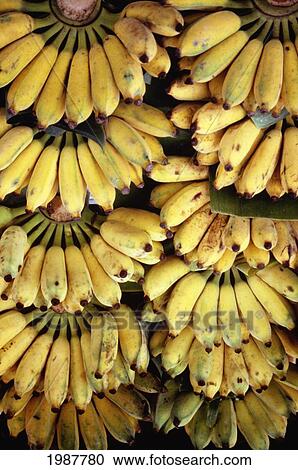 Stock Image - Bunch of bananas out for sale at outdoor market; Thailand. Fotosearch