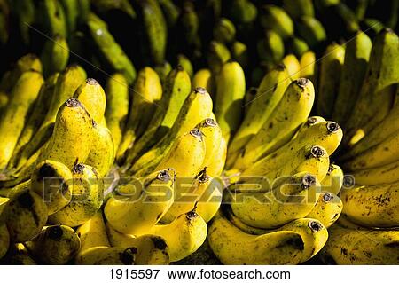 Stock Photo - Bunches Of Yellow Bananas For Sale. Fotosearch