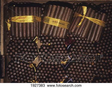 Bundles Of Cigars At Cigar Factory; Havana, Cuba View Large Photo Image Stock Image - Bundles Of Cigars At Cigar Factory; Havana, Cuba. Fotosearch