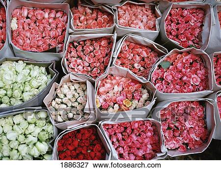Bundles Of Flowers In A Market View Large Photo Image Stock Photo - Bundles Of Flowers In A Market. Fotosearch