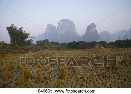 Stock Photography - Bundles On Field In Mountains; Yangshuo, China. Fotosearch