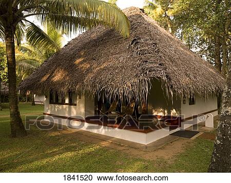 Bungalows And Swimming Pool; Marari Beach, Alleppey, Kerala, India View Large Photo Image Stock Image - Bungalows And Swimming Pool; Marari Beach, Alleppey, Kerala, India. Fotosearch