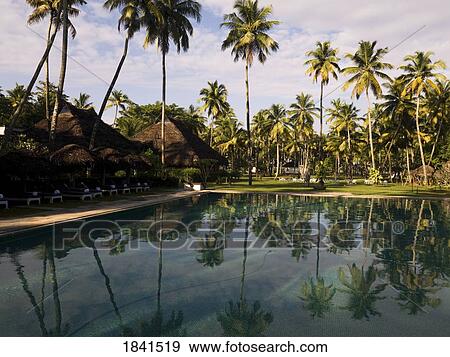 Bungalows And Swimming Pool; Marari Beach, Alleppey, Kerala, India View Large Photo Image Stock Photo - Bungalows And Swimming Pool; Marari Beach, Alleppey, Kerala, India. Fotosearch