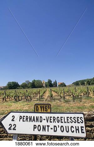 Burgundy Vineyards With Road Sign View Large Photo Image Stock Image - Burgundy Vineyards With Road Sign. Fotosearch