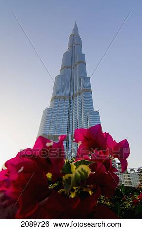 Stock Photograph - Burj Khalifa With Flowers In The Foreground At Dubai, Uae. Fotosearch