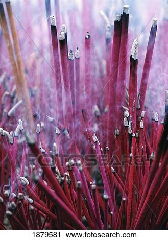 Stock Image - Burning Incense At Wenshu Temple. Fotosearch