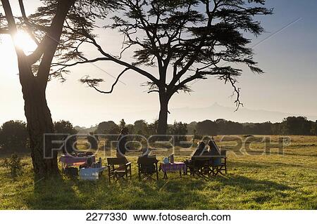 Stock Image - Bush breakfast under large acacia tree with Mt Kenya in the distance, Ol Pejeta Conservancy; Kenya. Fotosearch