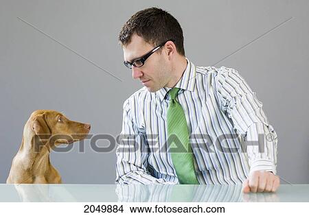 Businessman At A Desk Looking At His Dog View Large Photo Image Picture - Businessman At A Desk Looking At His Dog. Fotosearch
