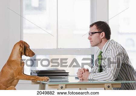Businessman At A Desk With His Dog View Large Photo Image Stock Image - Businessman At A Desk With His Dog. Fotosearch