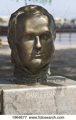 Stock Photo - Bust Of Charles Darwin; Puerto Baquerizo Moreno San Cristobal Island Galapagos Equador. Fotosearch