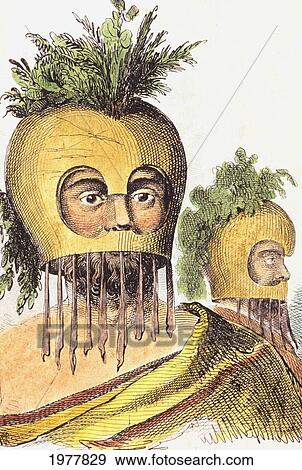 Stock Photo - C. 1840, Hand Colored Lith, Hawaii, Man In Gourd Mask.. Fotosearch