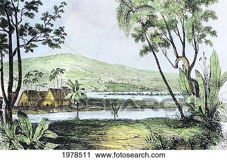C. 1840, Hawaii, Oahu, Lush Pearl Harbor View Of Landscape With Straw Huts And Palm Trees. View Large Photo Image Stock Image - C. 1840, Hawaii, Oahu, Lush Pearl Harbor View Of Landscape With Straw Huts And Palm Trees.. Fotosearch