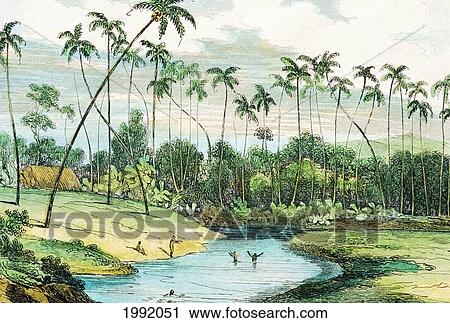 Stock Image - C. 1847 Art/Book Illustration, Hawaii, Big Island, Hilo, Waiakea, Rio Via Kea, Reverend Hiram Bingham.. Fotosearch