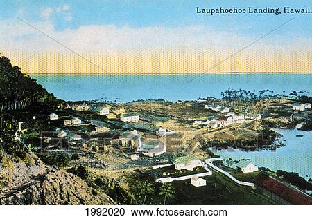 C. 1905 Postcard, Hawaii, Big Island, Laupahoehoe Landing. View Large Photo Image Stock Image - C. 1905 Postcard, Hawaii, Big Island, Laupahoehoe Landing.. Fotosearch