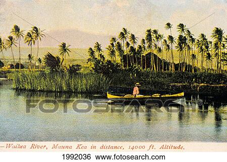 C. 1905 Postcard, Hawaii, Big Island, Hilo, Waikea River, Man In A Canoe. View Large Photo Image Stock Photograph - C. 1905 Postcard, Hawaii, Big Island, Hilo, Waikea River, Man In A Canoe.. Fotosearch
