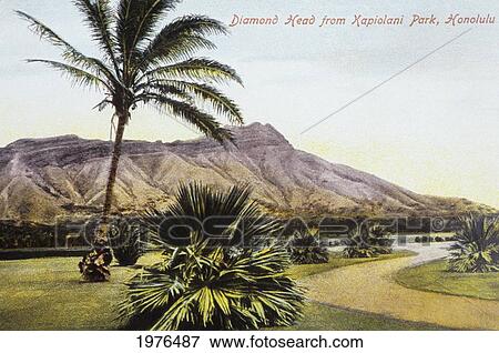 Stock Photo - C. 1910, Hawaii Postcard Art, Waikiki, View Of Diamond Head From Kapiolani Park.. Fotosearch