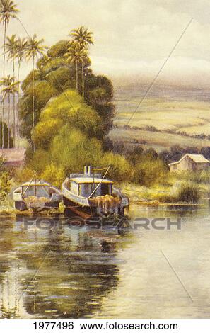 Stock Photograph - C. 1922 Hawaii, Big Island, Waiakea, Hilo, Coastal Landscape.. Fotosearch