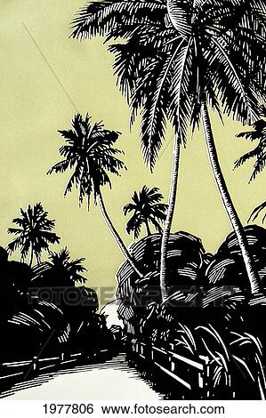 C. 1926, H. B. Christian Art, Hawaii, Duatone Illustration Of Palm Trees By Stream. View Large Photo Image Stock Photograph - C. 1926, H. B. Christian Art, Hawaii, Duatone Illustration Of Palm Trees By Stream.. Fotosearch