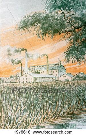 Stock Photograph - C. 1926, H. B. Christian Art, Hawaii, Duatone Illustration Of Sugarcane Field And Refinery.. Fotosearch