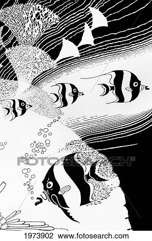 C. 1927, Don Blanding Art, Reef Angelfish Illustration. View Large Photo Image Stock Image - C. 1927, Don Blanding Art, Reef Angelfish Illustration.. Fotosearch