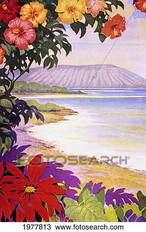 C. 1935, H. B. Christian, Hawaii, Oahu, View Of Koko Head, Shoreline And Flowers. View Large Photo Image Stock Image - C. 1935, H. B. Christian, Hawaii, Oahu, View Of Koko Head, Shoreline And Flowers.. Fotosearch