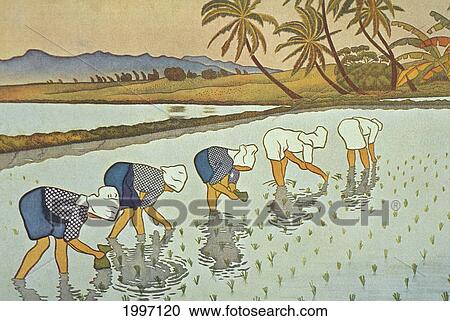 C. 1936 Hawaii, Alf Hurum Art, Illustration Of 5 Women Planting Rice In Lush Field View Large Photo Image Stock Image - C. 1936 Hawaii, Alf Hurum Art, Illustration Of 5 Women Planting Rice In Lush Field. Fotosearch