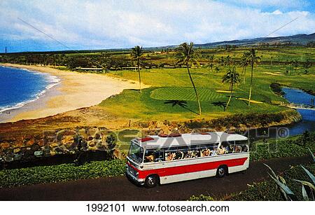 C. 1965 Postcard, Hawaii, Maui, Bus Driving Down Coastal Road Past Kaanapali Beach. View Large Photo Image Stock Image - C. 1965 Postcard, Hawaii, Maui, Bus Driving Down Coastal Road Past Kaanapali Beach.. Fotosearch