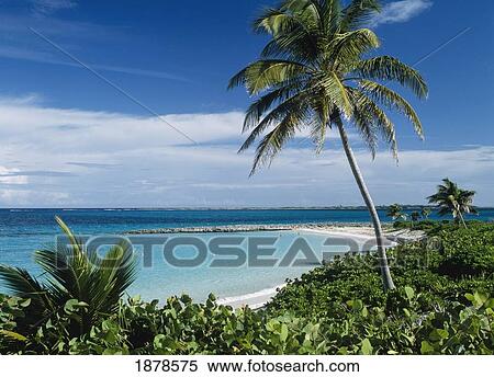 Cabbage Beach, High Angle View View Large Photo Image Stock Photography - Cabbage Beach, High Angle View. Fotosearch
