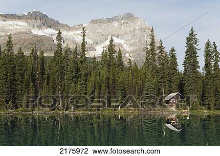 Cabin On Lakeshore Reflecting On Mountain Lake With Mountain In Background; Field British Columbia Canada View Large Photo Image Stock Image - Cabin On Lakeshore Reflecting On Mountain Lake With Mountain In Background; Field British Columbia Canada. Fotosearch