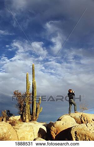 Cacti Behind Woman Taking Pictures View Large Photo Image Stock Image - Cacti Behind Woman Taking Pictures. Fotosearch