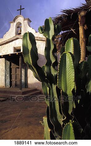 Stock Image - Cactus And Whitewashed Church In Texas Hollywood. Fotosearch