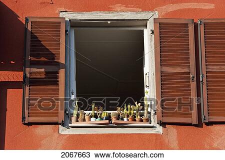Stock Image - Cactus Plants On A Window Sill, Strasbourg, France. Fotosearch