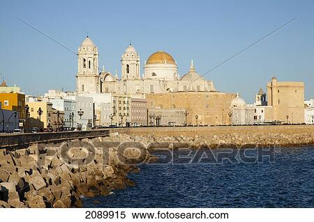 Cadiz Cathedral; Cadiz, Andalusia, Spain View Large Photo Image Stock Photography - Cadiz Cathedral; Cadiz, Andalusia, Spain. Fotosearch
