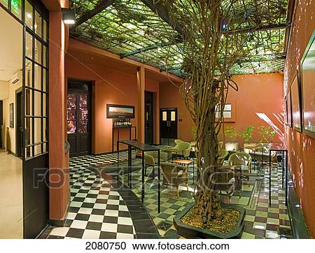 Cafe Interior With Sunlight Through The Vines Playing On The Walls; Mendoza Argentina View Large Photo Image Stock Image - Cafe Interior With Sunlight Through The Vines Playing On The Walls; Mendoza Argentina. Fotosearch