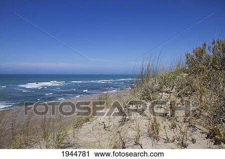Stock Image - Caleta Vald? s, Peninsula Vald? s, Chubut, Argentina. Fotosearch