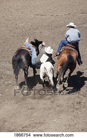 Picture - Calf Wrestler, Calgary Stampede Rodeo, Calgary, Alberta, Canada. Fotosearch